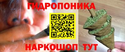 твердый Будённовск
