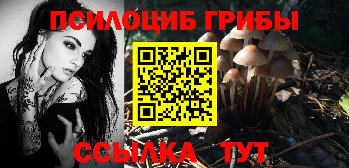 Псилоцибиновые грибы Psilocybine cubensis  Вход с VPN  Галлюциногенные грибы GOLDEN TEACHER  Нурлат 